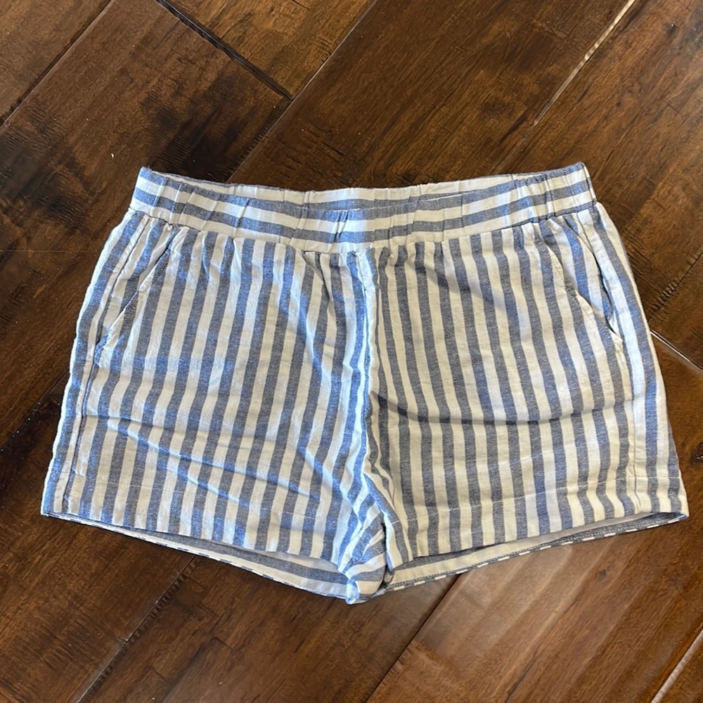 NWOT Cute splendid shorts! Size large